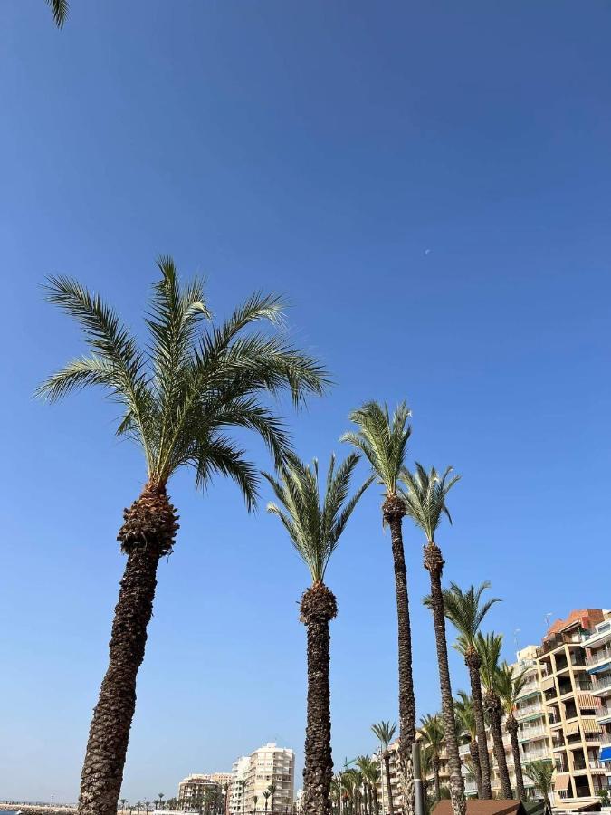 Uroczy Apartament Przy Playa De Los Locos 托雷维耶哈 外观 照片